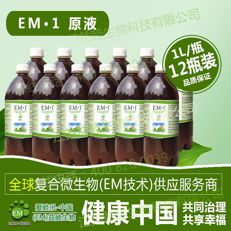 經(jīng)過(guò)EM菌種處理過(guò)的蔬菜生長(cháng)情況良好